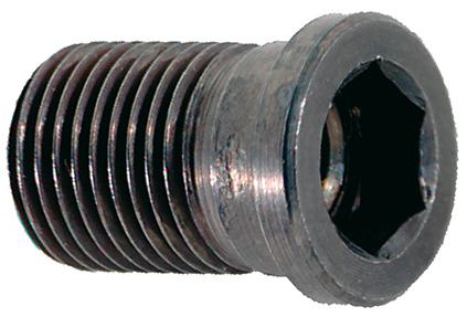 Gewindebuchse LT35 FORMAT