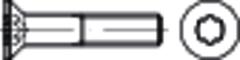 ISO 10642 8.8 galZn DiSP M12x25 HP