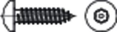 Sicherh.Schr.(D7981)A2 Pin-TORX 6,3x13HP