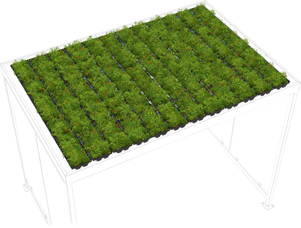 Dachbegrünung GreenPlus Premium zu Raucherunterstand Köln K3