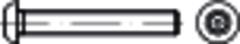 Sicherh.Schr(I7380)A2 ISKZapfen M5x10HP