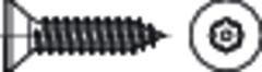 Sicherh.Schr.(D7982)A2 Pin-TORX 4,2x16HP